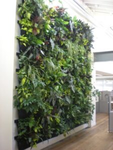 Indoor Vertical Herb Garden Indoor Vertical Garden | Houzz Photo 773