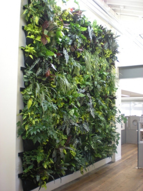 Indoor Vertical Herb Garden Indoor Vertical Garden | Houzz Photo 773