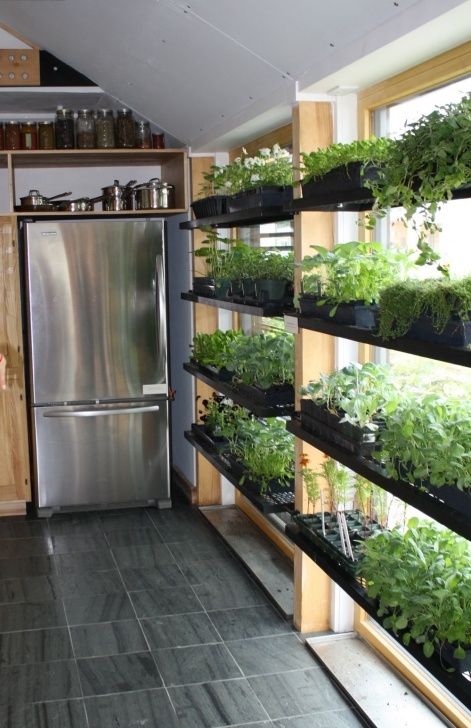 Indoor Vertical Herb Garden Kitchen Grow Design - Szukaj W Google | Indoor Vegetable Photo 949