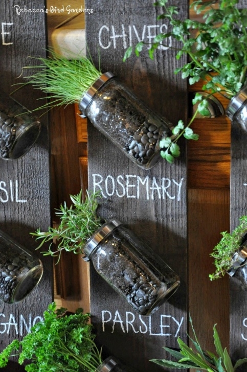 Indoor Vertical Herb Garden Rebecca'S Bird Gardens Blog: Diy Mason Jar Vertical Herb Photo 946
