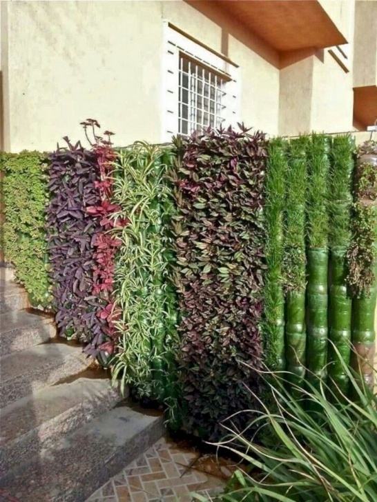 Indoor Vertical Vegetable Garden 30+ Handsome Diy Examples How To Make Lovely Vertical Photo 645