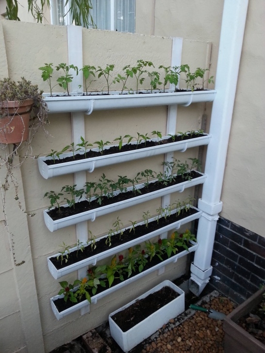 Indoor Vertical Vegetable Garden I Built A Vertical Planter Yesterday Afternoon. | Vertical Photo 394