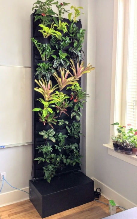 Indoor Vertical Vegetable Garden Jared'S Office Living Wall Is A Huge Hit | Vertical Garden Picture 079
