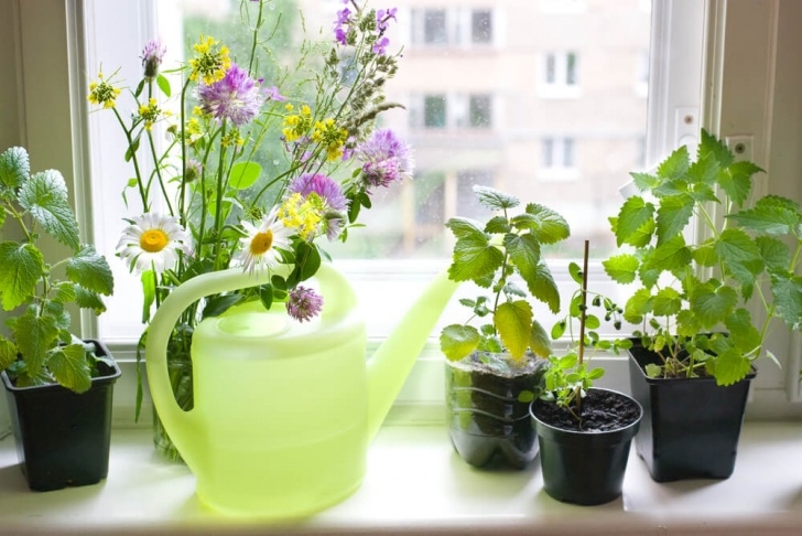 Indoor Windowsill Herb Garden How To Get Your Year-Round Indoor Herb Garden Started Image 947