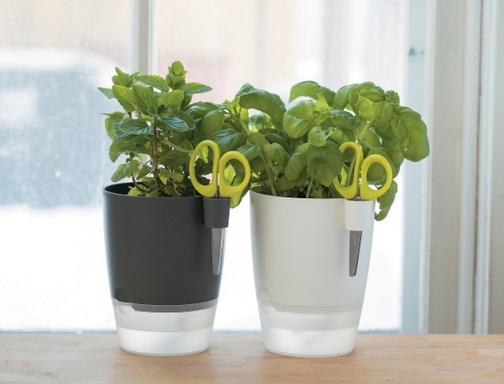 Indoor Windowsill Herb Garden Smart Watering Plant Sitters: How To Not Kill Your Garden Picture 496