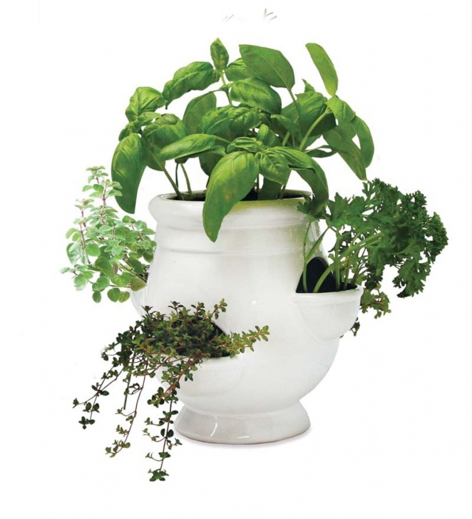 Indoor Windowsill Herb Garden Windowsill Herb Garden Kit | Gifts For Gardeners | Plowhearth Photo 910