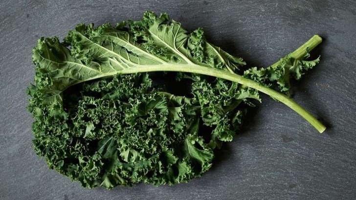 Kale Companion Plants All Hail Kale…Except This Gross Side Effect | Garden Photo 770