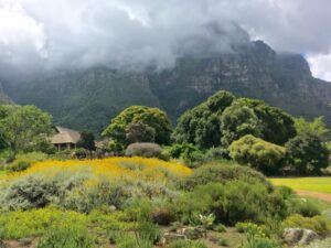Kirstenbosch National Botanical Garden Kirstenbosch National Botanic Garden, Cape Town – Janna Photo 220 Kirstenbosch National Botanical Garden Kirstenbosch National Botanic Garden, Cape Town – Janna Photo 220