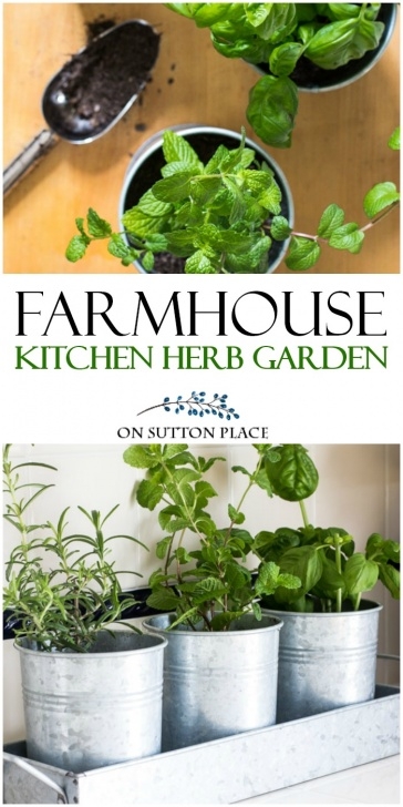 Kitchen Counter Herb Garden Kitchen Herb Garden | Farmhouse Style - On Sutton Place Picture 932