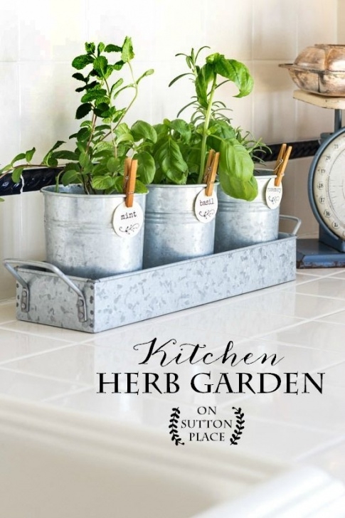 Kitchen Counter Herb Garden Kitchen Herb Garden | Herb Garden In Kitchen, Kitchen Picture 082