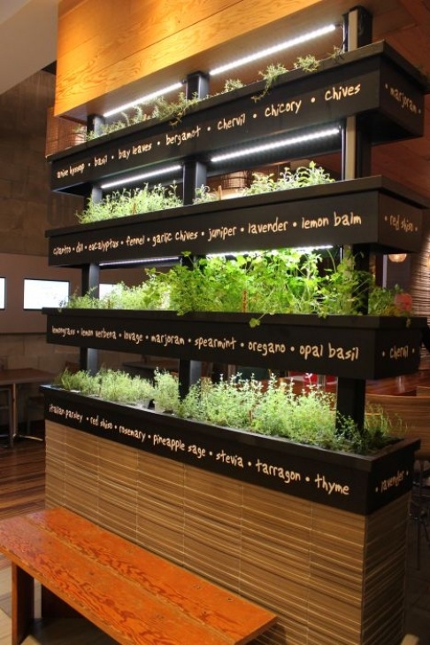 Kitchen Wall Herb Garden 44 Best Plant Partitions And Living Wall Room Dividers Photo 302