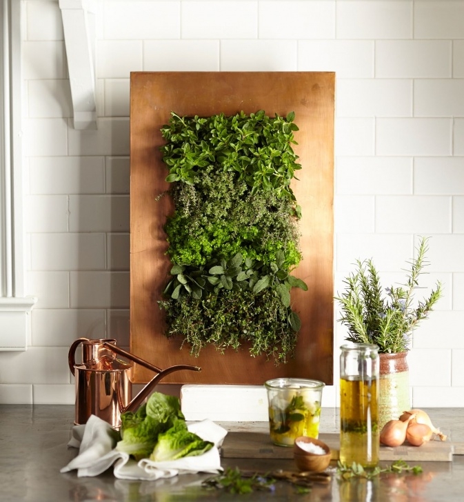 Kitchen Wall Herb Garden A Copper (Modern) Contemporary Herb Garden For The Kitchen Picture 259