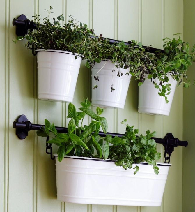 Kitchen Wall Herb Garden A Fintorp Condiment Holder Works Just As Well As A Planter Image 123
