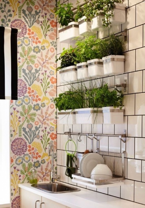 Kitchen Wall Herb Garden G 4 Gardening: Indoor Herb Garden Ideas Photo 673
