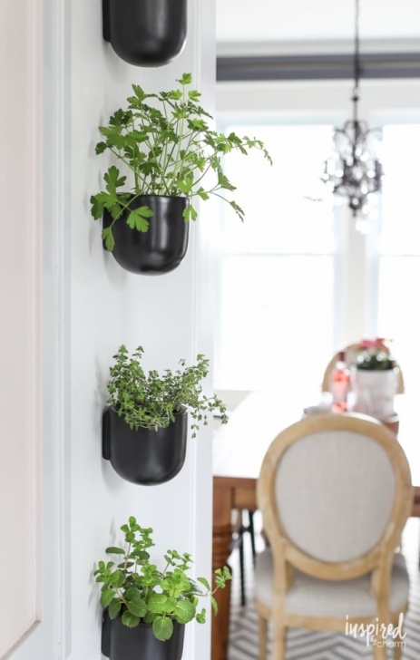 Kitchen Wall Herb Garden How To Create A Modern Kitchen Herb Garden Image 921
