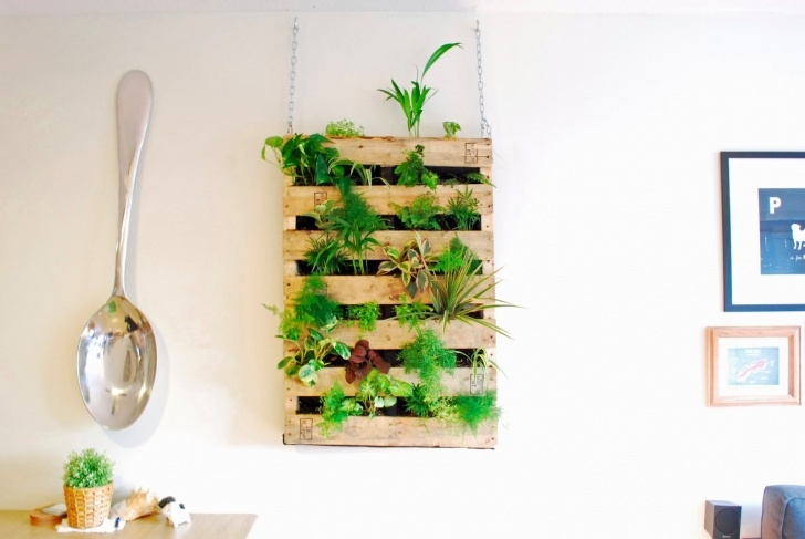 Kitchen Wall Herb Garden The Brew : Diy Pallet Living Wall Photo 450