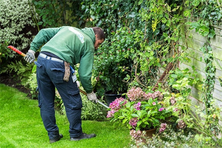 Landscape And Gardening Services Fantastic Services: Keep A Garden Intact With Pro Garden Image 078