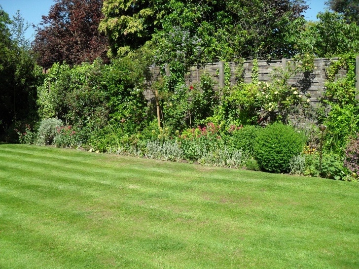 Landscape And Gardening Services Gardening Services | Elliott'S Garden Service &amp; Tree Surgery Picture 002