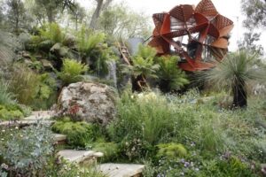 Landscape Design With Native Plants Australian Native Plants For Rock Gardens - Video And Picture 834
