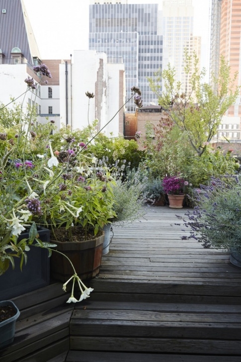 Landscape For House Garden Garden Visit: At Home With Designer Julie Weiss In Image 633