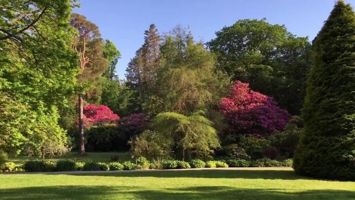 Landscape For House Garden Muckross House &amp; Gardens Killarney Ireland - Youtube Photo 489
