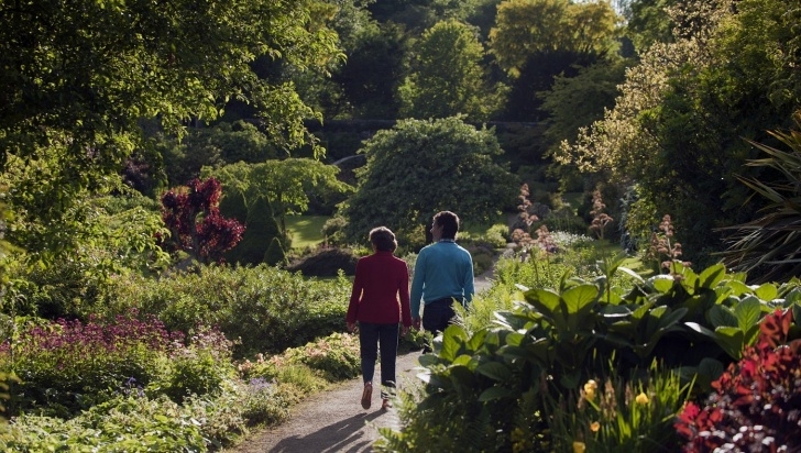 Landscape Gardeners North East North East | National Trust Photo 681