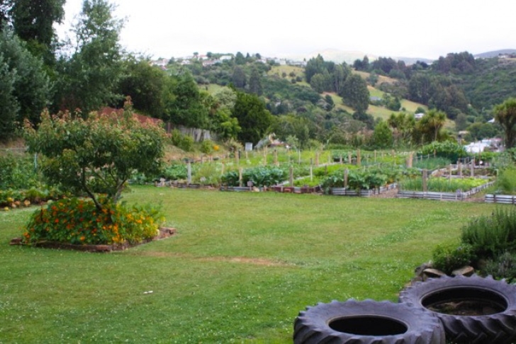 Landscape Gardeners North East North East Valley Community Garden Photo 354