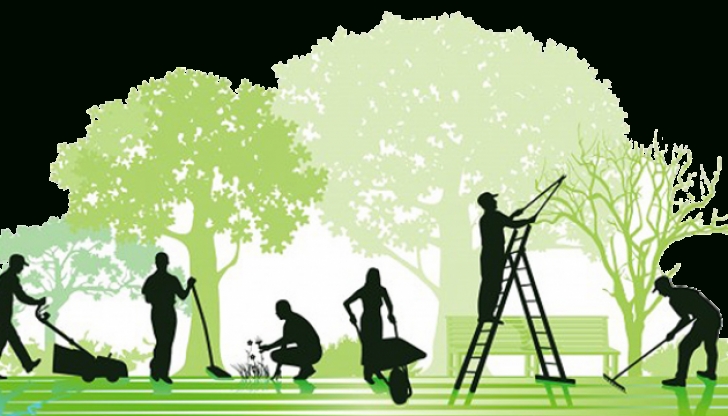Landscape Gardening Services Bulls Garden Maintenance Picture 524