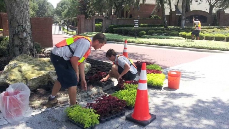 Landscape Gardening Services Commercial Landscaping Services Orlando - Commercial Picture 141