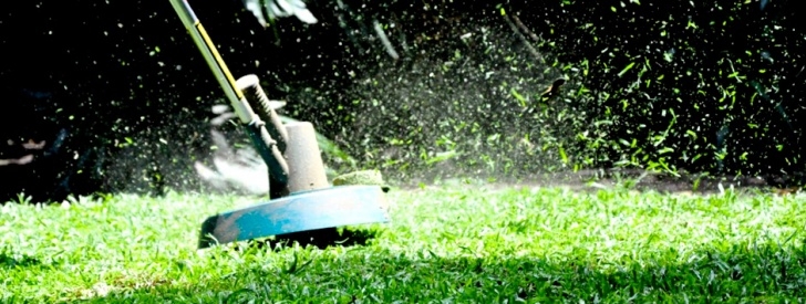 Landscape Gardening Services Garden Services Adelaide |Garden Maintenance South Picture 224