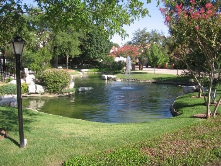 Landscaping Around A Pond 1000+ Images About Pond Landscaping On Pinterest Picture 568