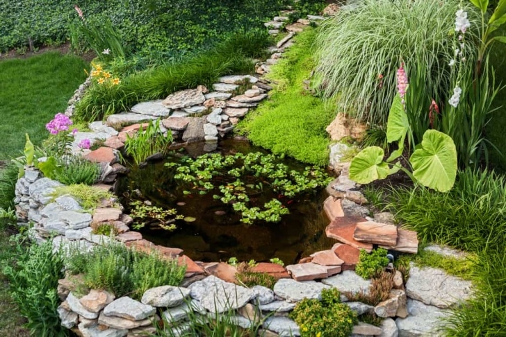 Landscaping Around A Pond 60 Backyard Pond Ideas (Photos) Picture 623