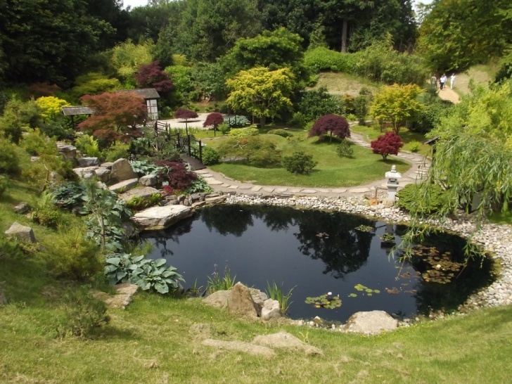 Landscaping Around A Pond Kingston Lacy Gardens - Kingston Lacy Estate - Japanese Ga Image 745