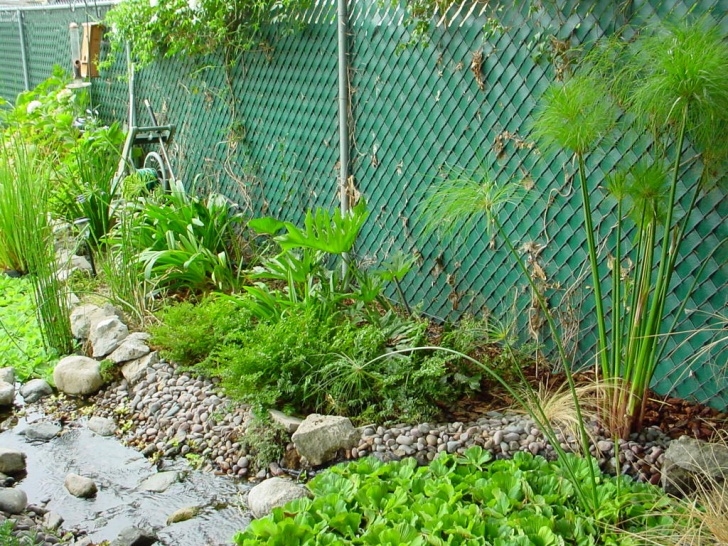 Landscaping Around A Pond My So Called Pond Life: Pond Edging &amp; Landscaping Around Picture 739
