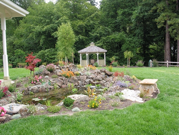 Landscaping Around A Pond Scotts Valley Turtle Pond With Waterfall And Stream Image 507