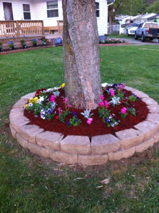 Landscaping Around Trees With Bricks Instead Of Planting Flowers, These Homeowners Did Image 960