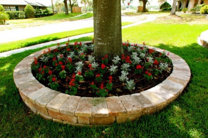 Landscaping Around Trees With Bricks Landscaping Around Trees - Ideas You Should Not Miss! Picture 015