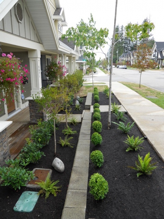Landscaping Front Yard Front Yard Landscaping Make Over 2 - Traditional Photo 453