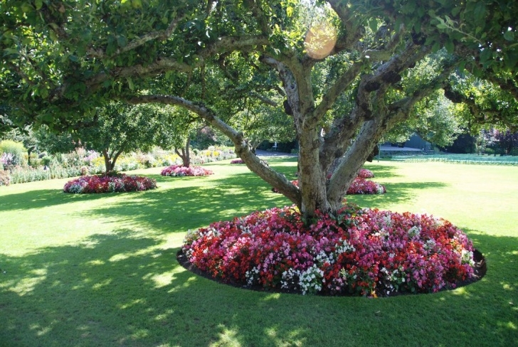 Landscaping Under Pine Tree 40 Amazing Big Tree Landscaping Ideas - Homishome Image 006