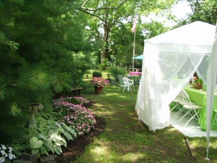 Landscaping Under Pine Tree Landscape Ideas Under Pine Trees | Decor &amp; Design Ideas In Image 141
