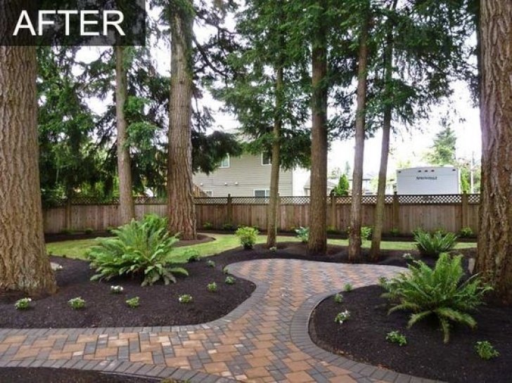Landscaping Under Pine Tree Landscaping Under Oak Tree |  Trees Home Backyards Image 518