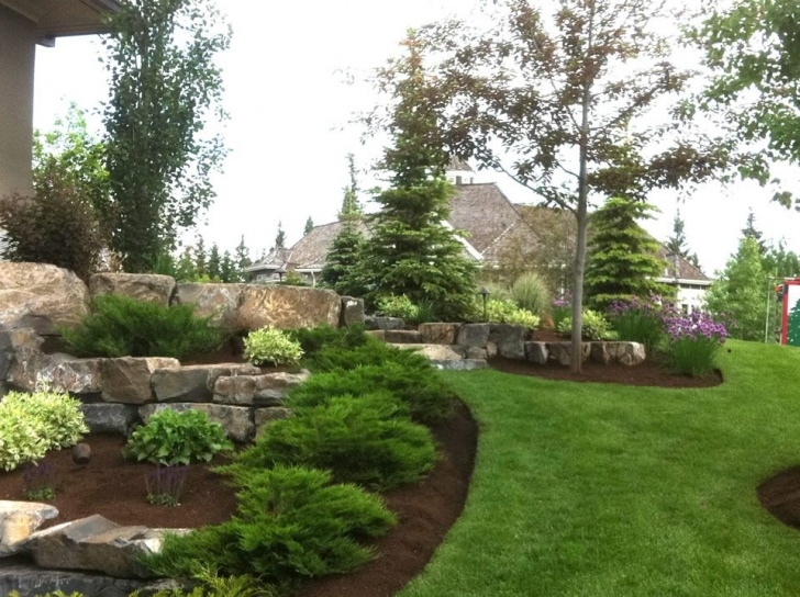 Landscaping Under Pine Tree Landscaping With Evergreens | Mountain Pine Estates Image 358