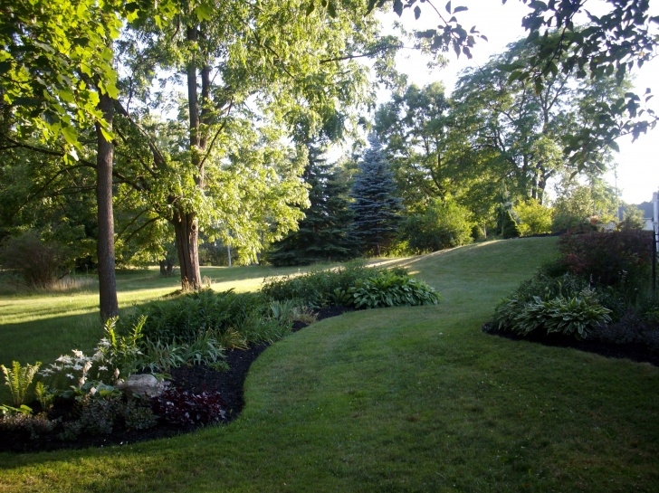Landscaping Under Trees Gardening Under A Black Walnut Tree | Patinaandcompany Picture 484