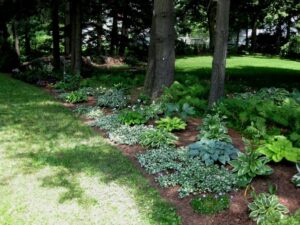 Landscaping Under Trees Landscape In Progress | Too Many Books And Never Enough Picture 244