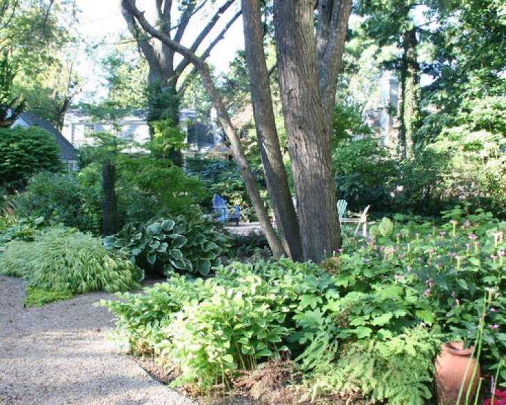 Landscaping Under Trees Planting Under Tree Home Design Ideas, Pictures, Remodel Image 518