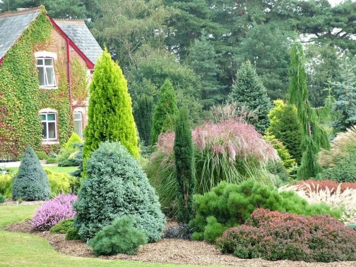 Landscaping With Trees And Shrubs Foxhollow Garden | Garden, Shrubs, Evergreen Garden Picture 375