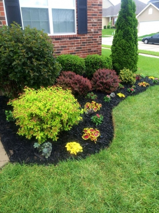 Landscaping With Trees And Shrubs Image Result For Evergreen Shrub For Corner Of House Picture 966