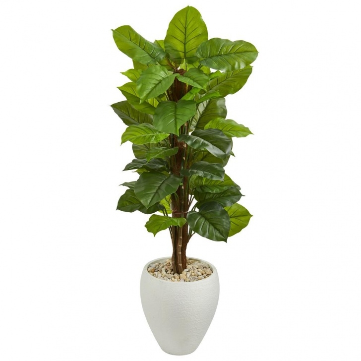 Large Indoor Plants And Trees Nearly Natural Real Touch 5 Ft. Indoor Large Leaf Picture 186