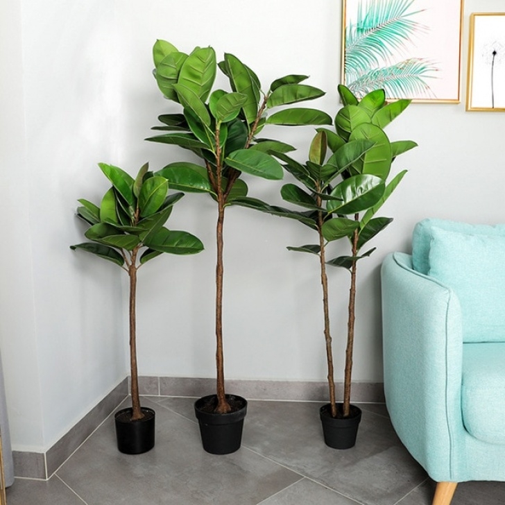 Large Indoor Plants And Trees Nordic Ins Artificial Rubber Tree Plants Bonsai Indoor Picture 516