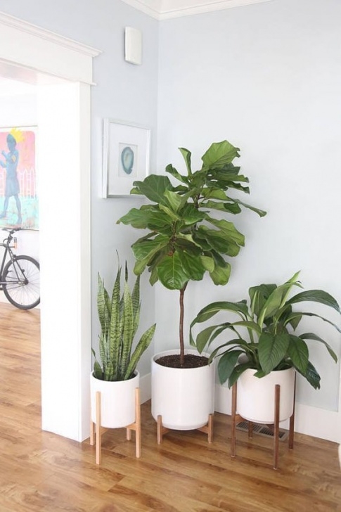 Large Potted House Plants Large Mid Century Modern Planter, Plant Stand, Planter Pot Picture 999